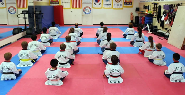 Como Abrir uma academia de artes marciais