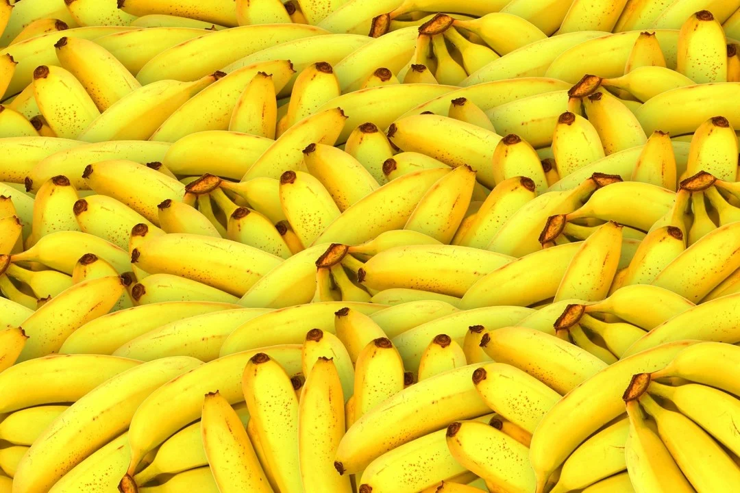 Como Montar uma Fábrica de Bananas Passas