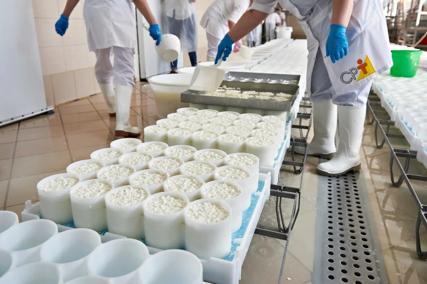 Como Abrir uma Fábrica de Queijos Sebrae Como Montar uma Fábrica de Queijos