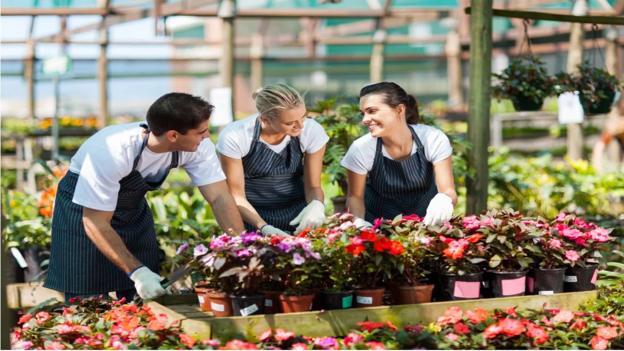 Sebrae Como Ter uma Floricultura