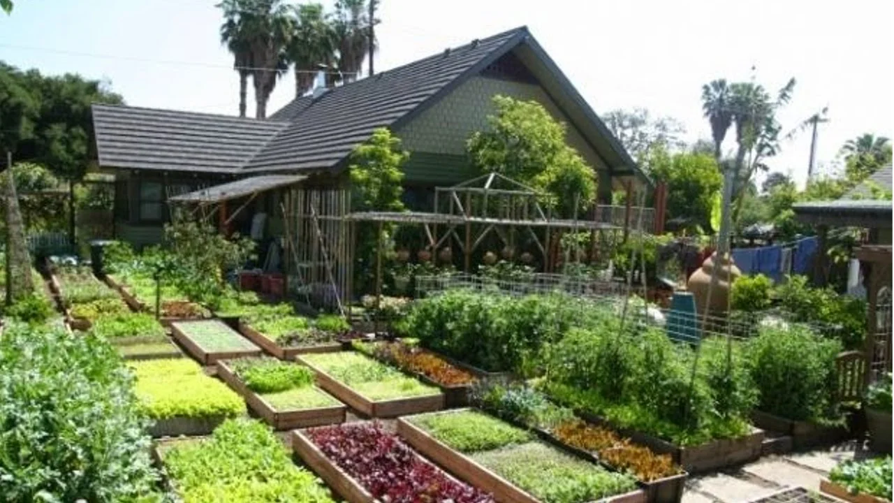 Como Abrir uma Horticultura Sebrae Como Ter uma Horticultura