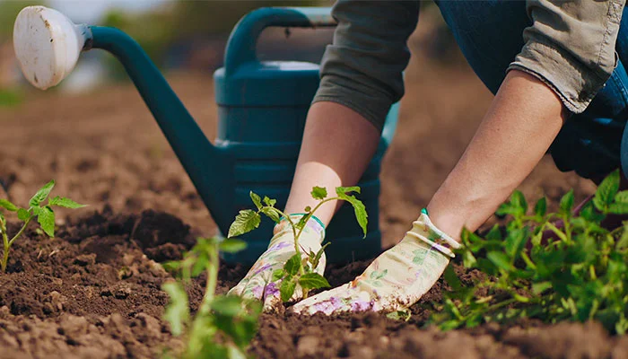 Como Abrir uma Empresa de Jardinagem Sebrae Como Ter uma Empresa de Jardinagem