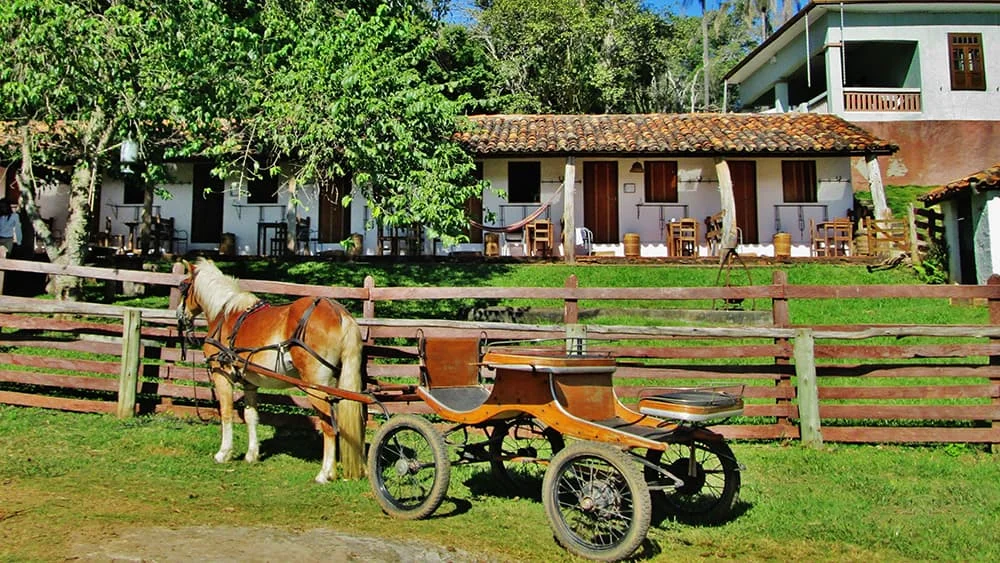 Como Montar um Negócio de Turismo Rural Como Abrir um Negócio de Turismo Rural