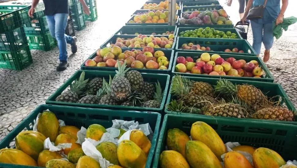 Como Abrir um Sacolão (ou Hortifrúti) Sebrae Como Ter um Sacolão (ou Hortifrúti)